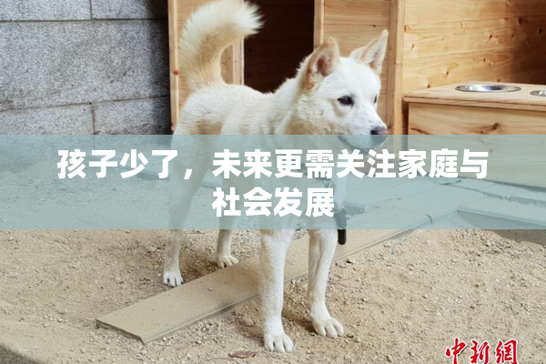孩子少了，未来更需关注家庭与社会发展