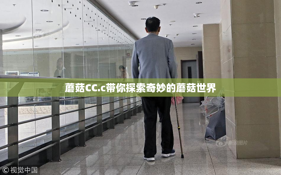 蘑菇CC.c带你探索奇妙的蘑菇世界