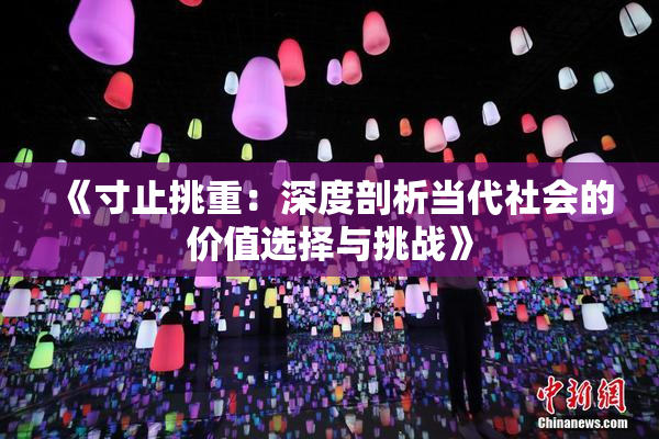 《寸止挑重：深度剖析当代社会的价值选择与挑战》