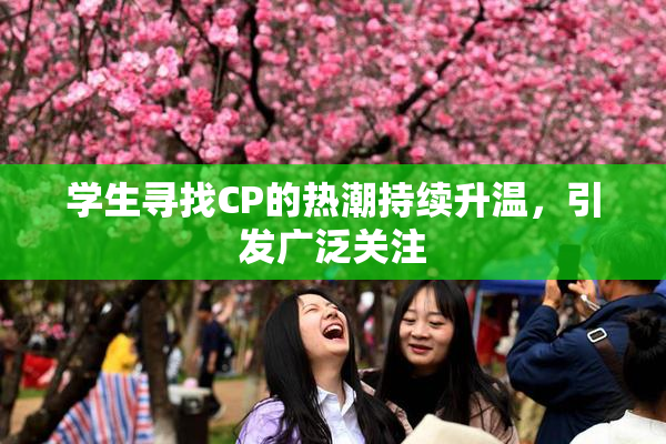 学生寻找CP的热潮持续升温，引发广泛关注