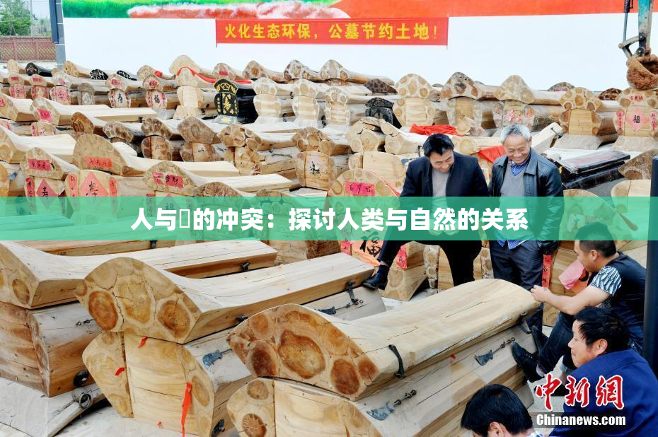人与嘼的冲突：探讨人类与自然的关系