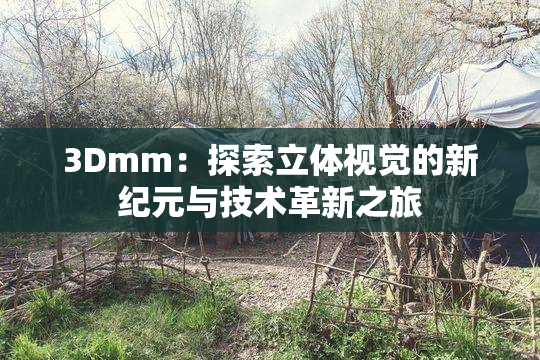 3Dmm：探索立体视觉的新纪元与技术革新之旅