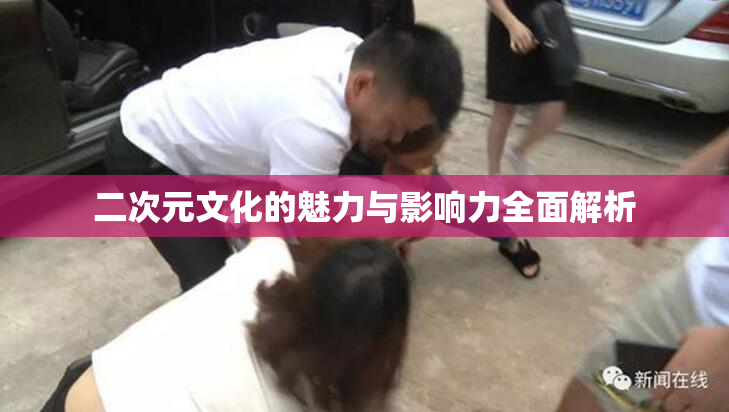 二次元文化的魅力与影响力全面解析