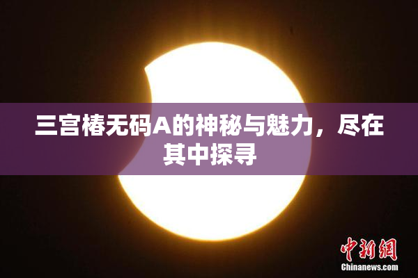 三宫椿无码A的神秘与魅力，尽在其中探寻