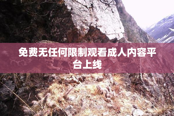 免费无任何限制观看成人内容平台上线