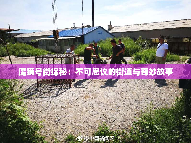 魔镜号街探秘：不可思议的街道与奇妙故事