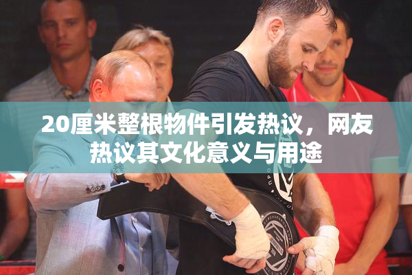 20厘米整根物件引发热议，网友热议其文化意义与用途
