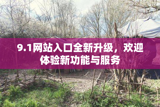 9.1网站入口全新升级，欢迎体验新功能与服务