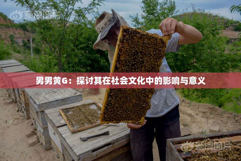 男男黄G：探讨其在社会文化中的影响与意义