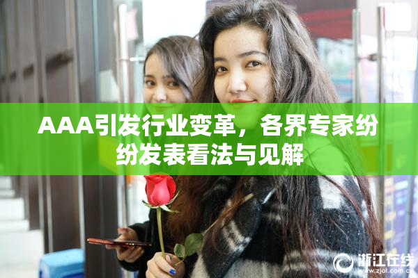 AAA引发行业变革，各界专家纷纷发表看法与见解