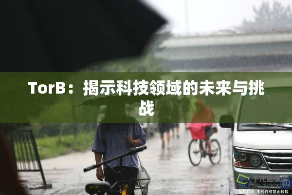 TorB：揭示科技领域的未来与挑战