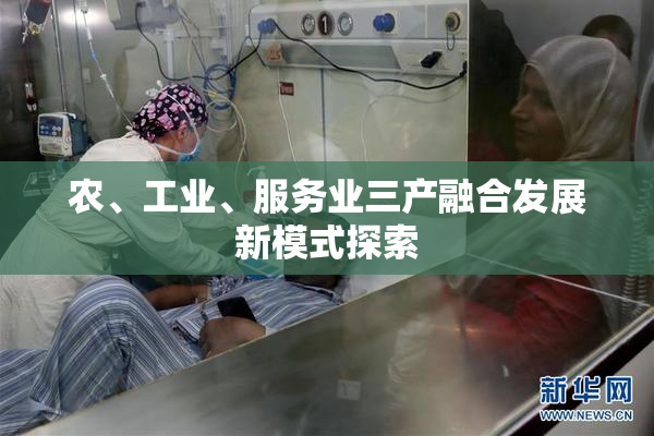 农、工业、服务业三产融合发展新模式探索
