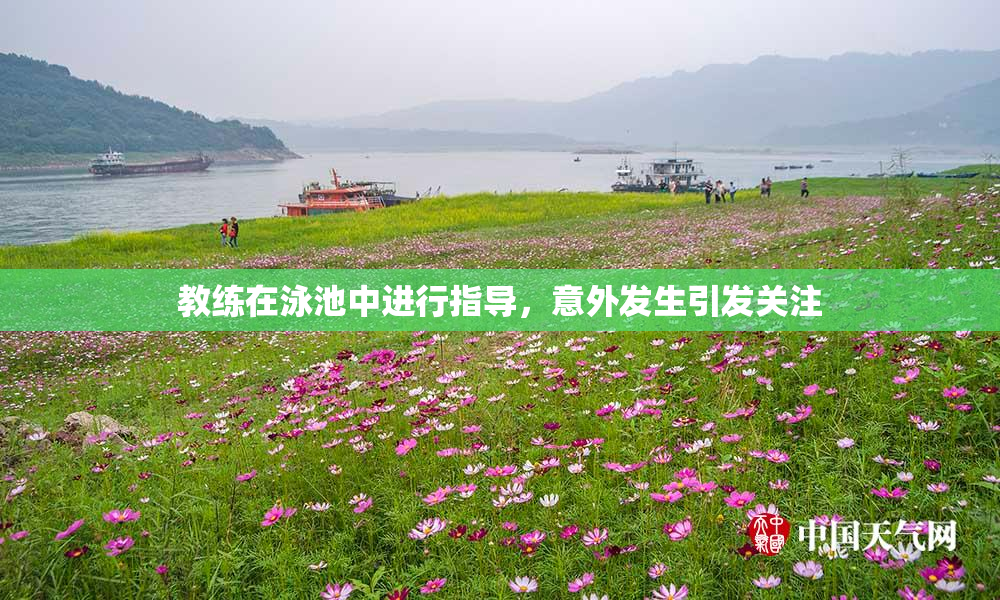 教练在泳池中进行指导，意外发生引发关注