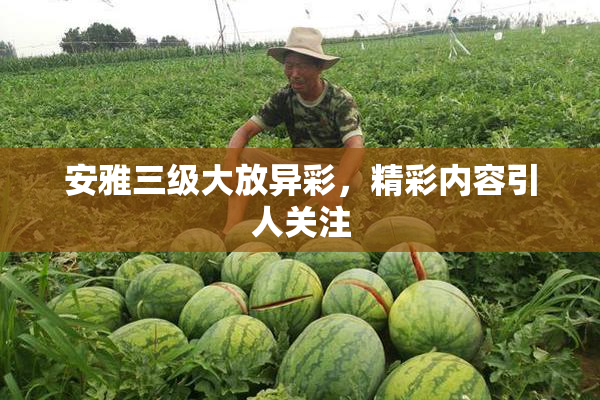 安雅三级大放异彩，精彩内容引人关注
