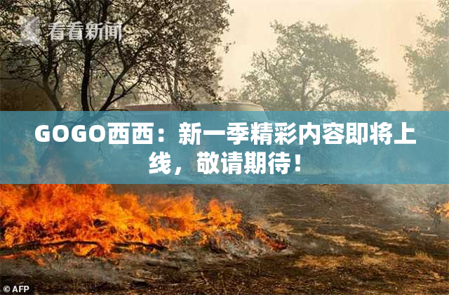 GOGO西西：新一季精彩内容即将上线，敬请期待！