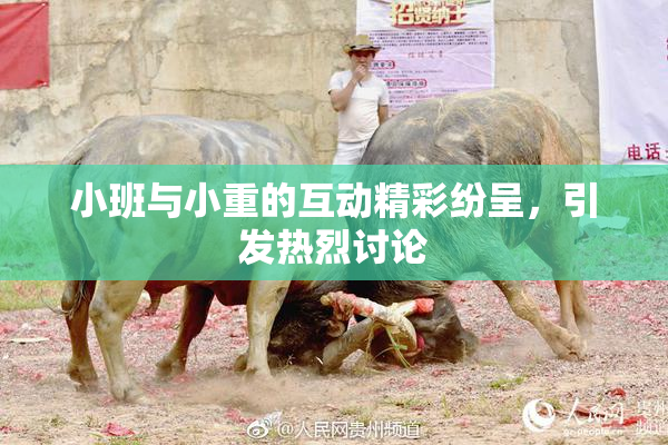 小班与小重的互动精彩纷呈，引发热烈讨论