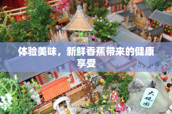 体验美味，新鲜香蕉带来的健康享受