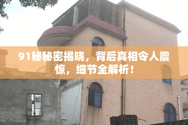 91秘秘密揭晓，背后真相令人震惊，细节全解析！