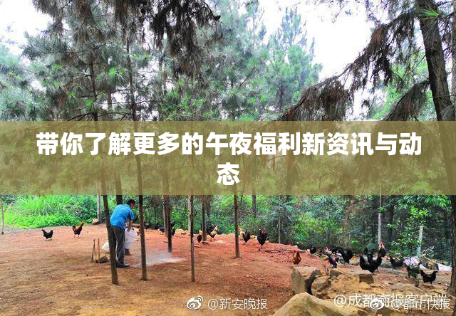 带你了解更多的午夜福利新资讯与动态