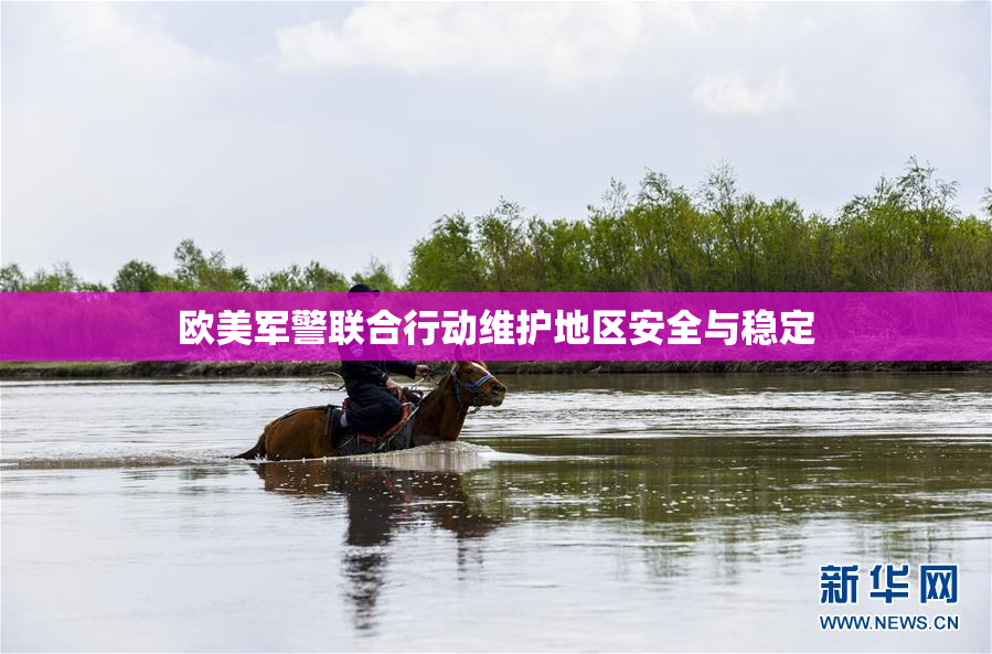 欧美军警联合行动维护地区安全与稳定