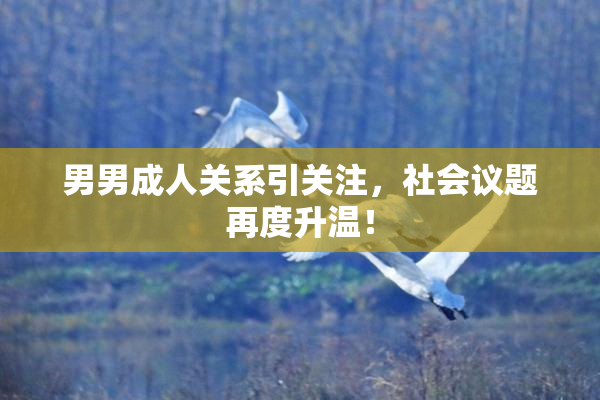 男男成人关系引关注，社会议题再度升温！