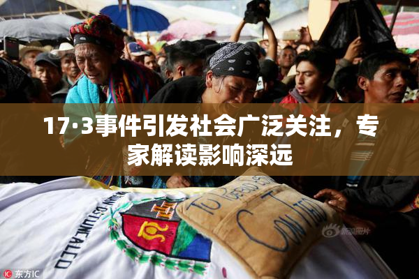 17·3事件引发社会广泛关注，专家解读影响深远