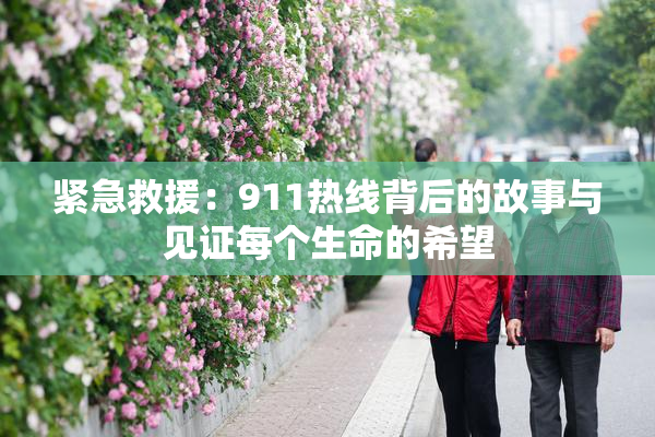 紧急救援：911热线背后的故事与见证每个生命的希望