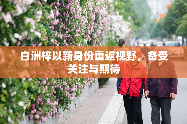 白洲梓以新身份重返视野，备受关注与期待