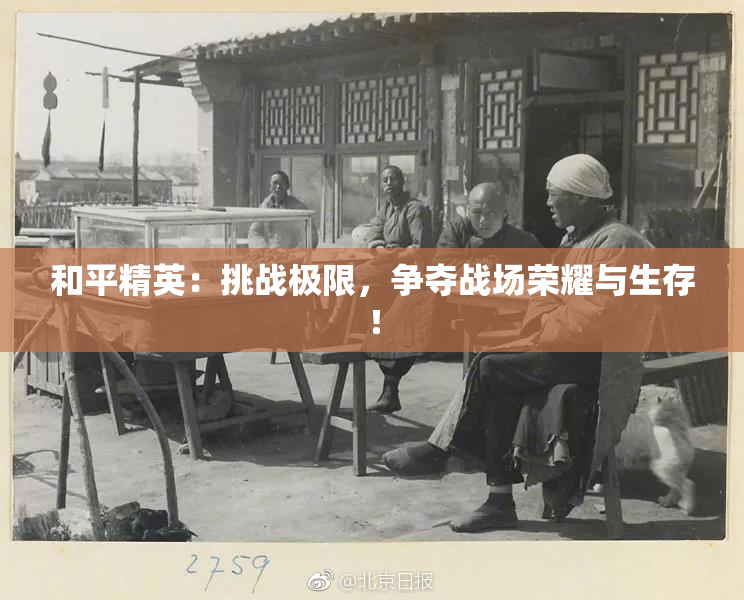和平精英：挑战极限，争夺战场荣耀与生存！