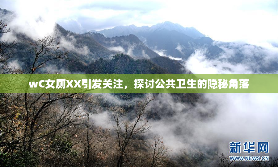wC女厕XX引发关注，探讨公共卫生的隐秘角落