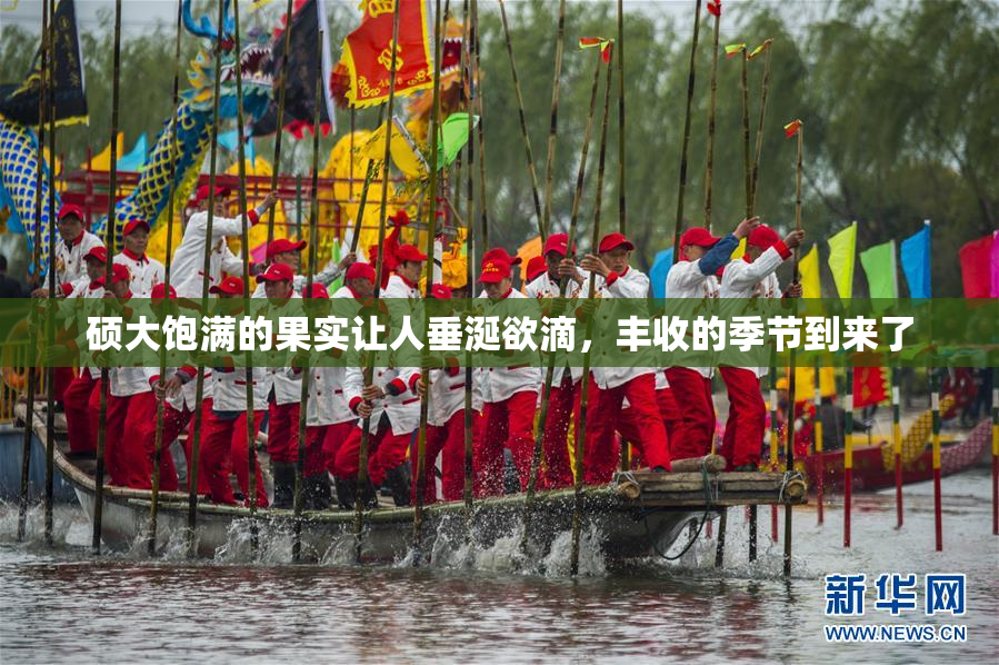 硕大饱满的果实让人垂涎欲滴，丰收的季节到来了