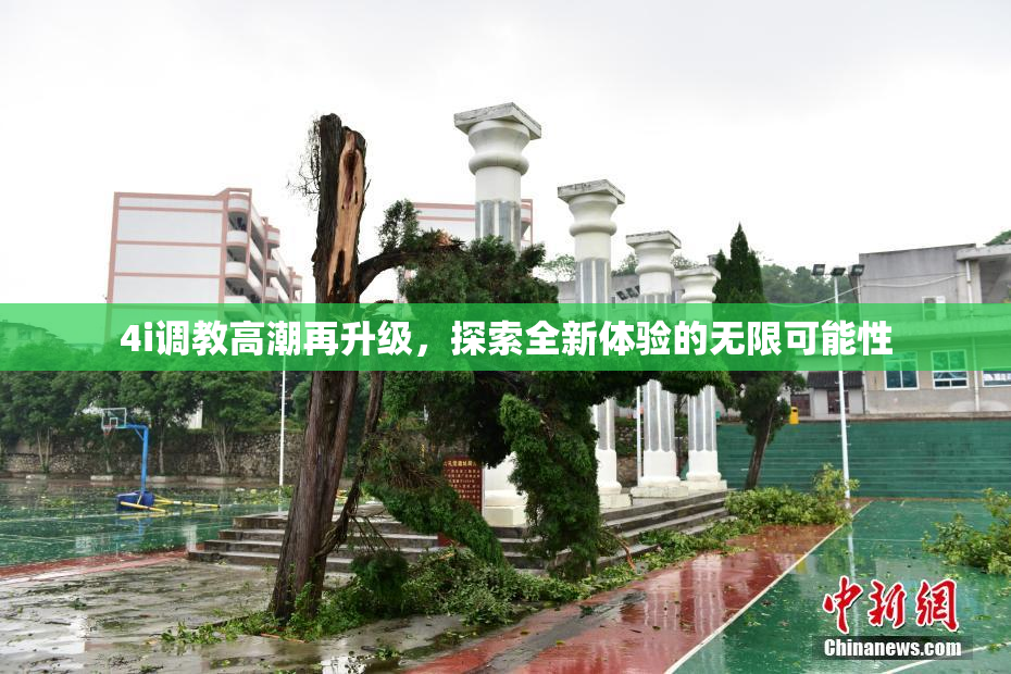 4i调教高潮再升级，探索全新体验的无限可能性