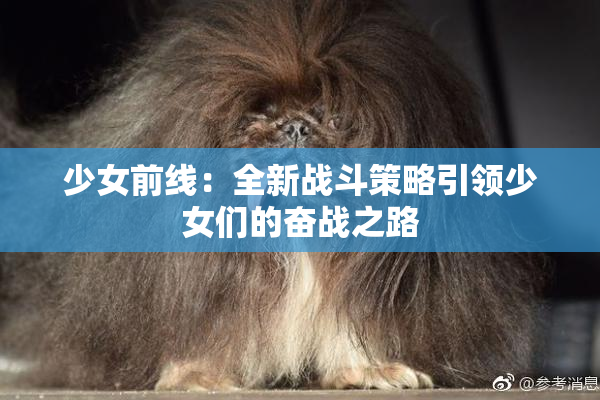 少女前线：全新战斗策略引领少女们的奋战之路