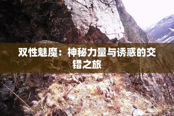 双性魅魔：神秘力量与诱惑的交错之旅