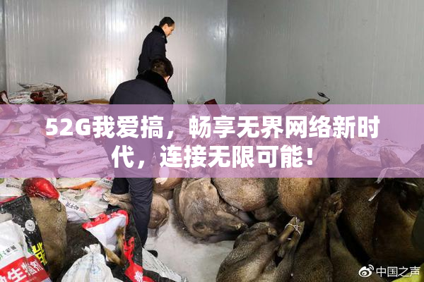 52G我爱搞，畅享无界网络新时代，连接无限可能！