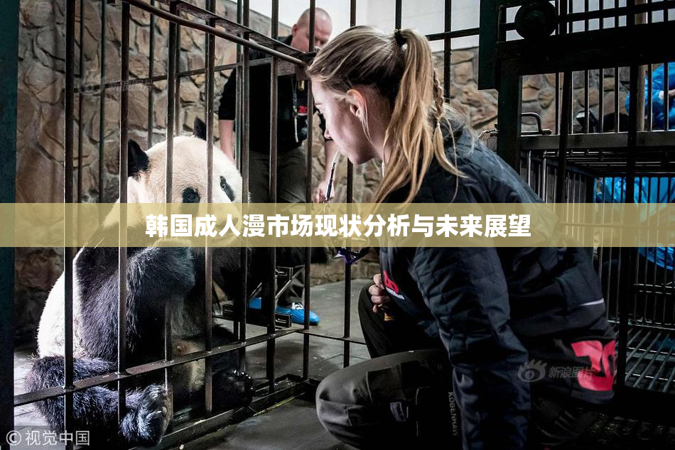 韩国成人漫市场现状分析与未来展望