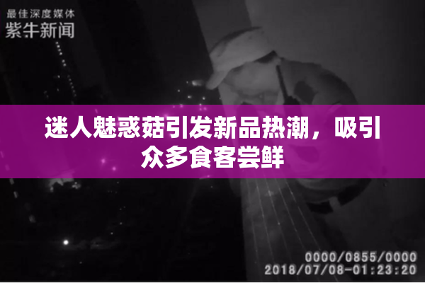 迷人魅惑菇引发新品热潮，吸引众多食客尝鲜