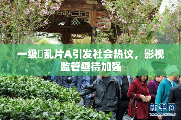 一级婬乱片A引发社会热议，影视监管亟待加强