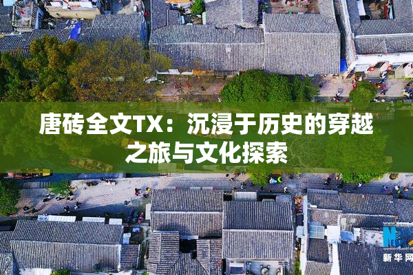 唐砖全文TX：沉浸于历史的穿越之旅与文化探索