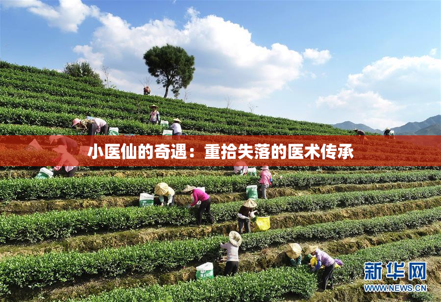 小医仙的奇遇：重拾失落的医术传承