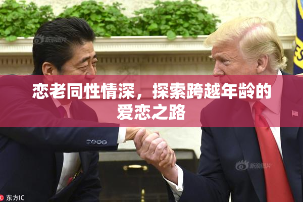 恋老同性情深，探索跨越年龄的爱恋之路