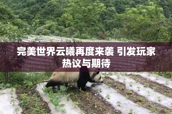 完美世界云曦再度来袭 引发玩家热议与期待