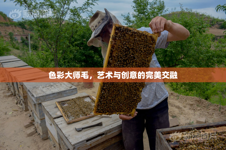 色彩大师毛，艺术与创意的完美交融