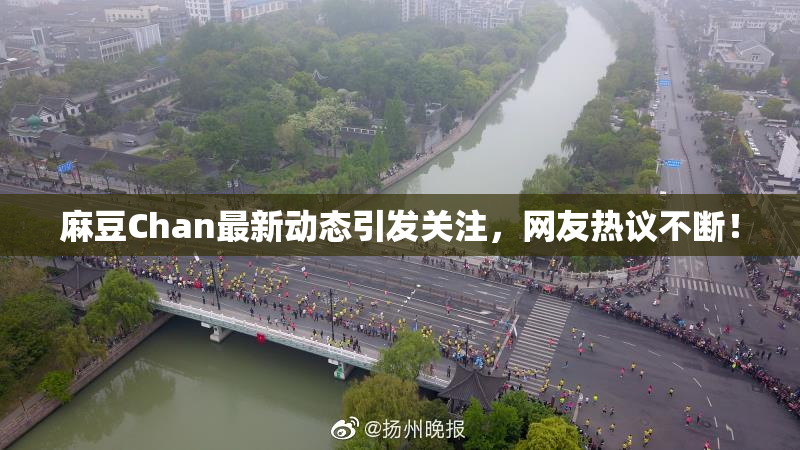 麻豆Chan最新动态引发关注，网友热议不断！