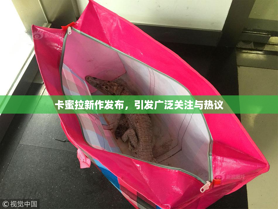 卡蜜拉新作发布，引发广泛关注与热议