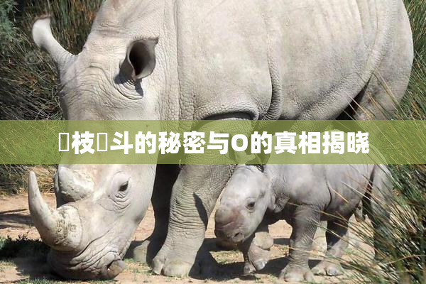 狛枝凪斗的秘密与O的真相揭晓