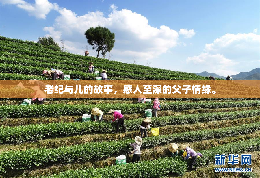 老纪与儿的故事，感人至深的父子情缘。
