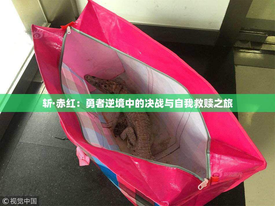 斩·赤红：勇者逆境中的决战与自我救赎之旅
