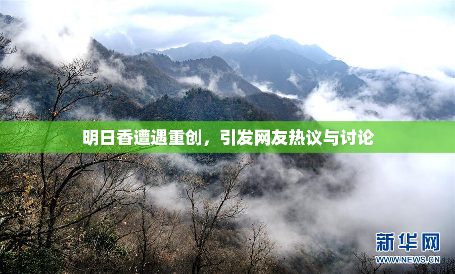 明日香遭遇重创，引发网友热议与讨论