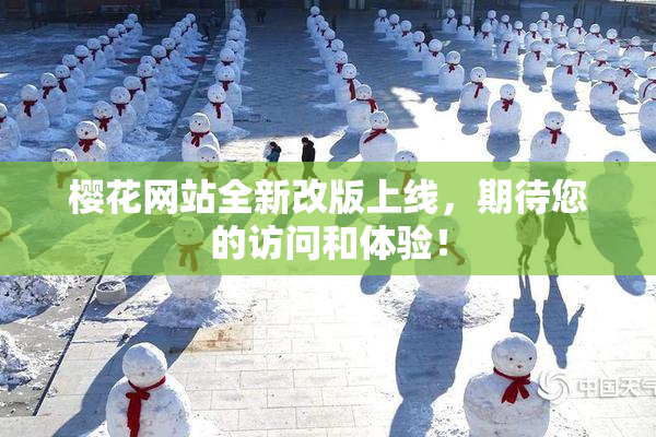 樱花网站全新改版上线，期待您的访问和体验！